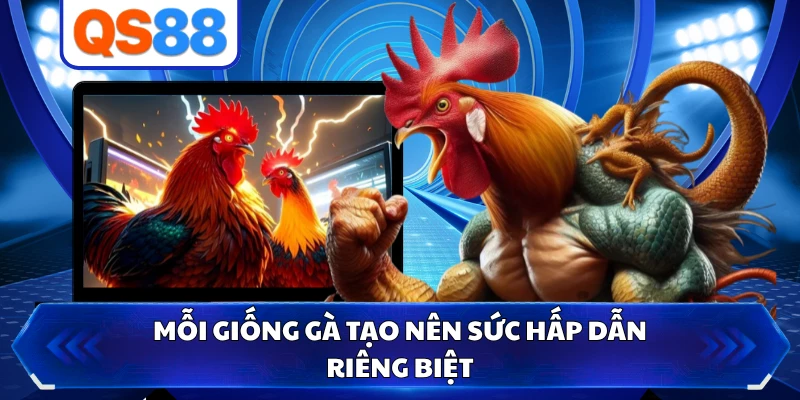 Mỗi giống gà tạo nên sức hấp dẫn riêng biệt